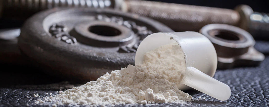 Warum Proteinpulver ein Muss für deine Fitnessziele ist