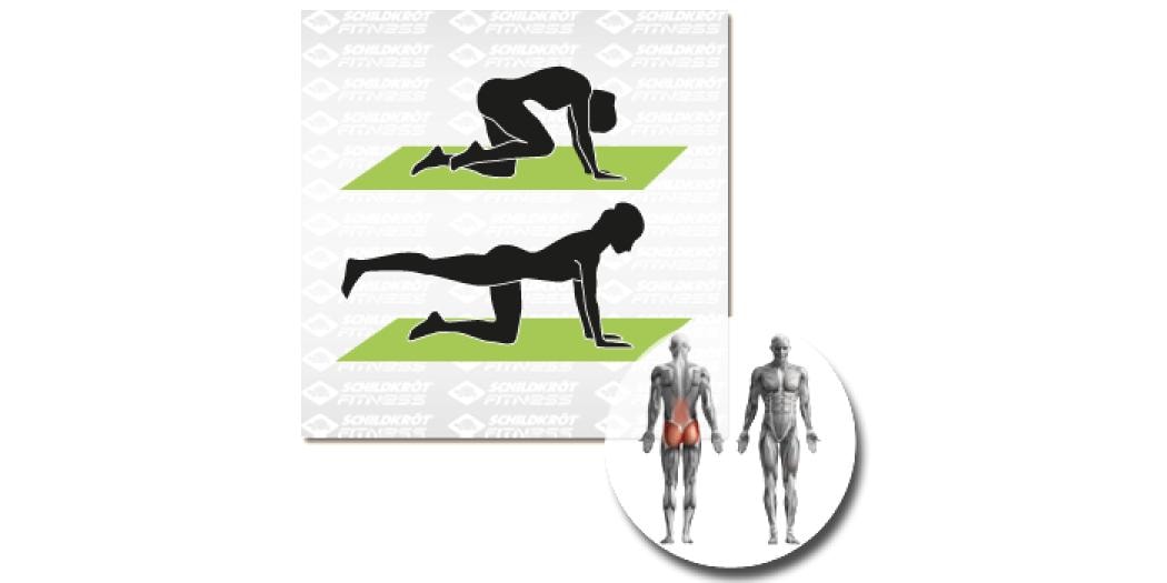Schildkröt Fitness Fitnessmatte Grün