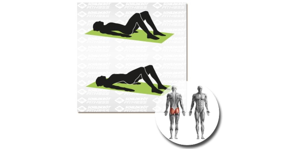 Schildkröt Fitness Fitnessmatte Grün