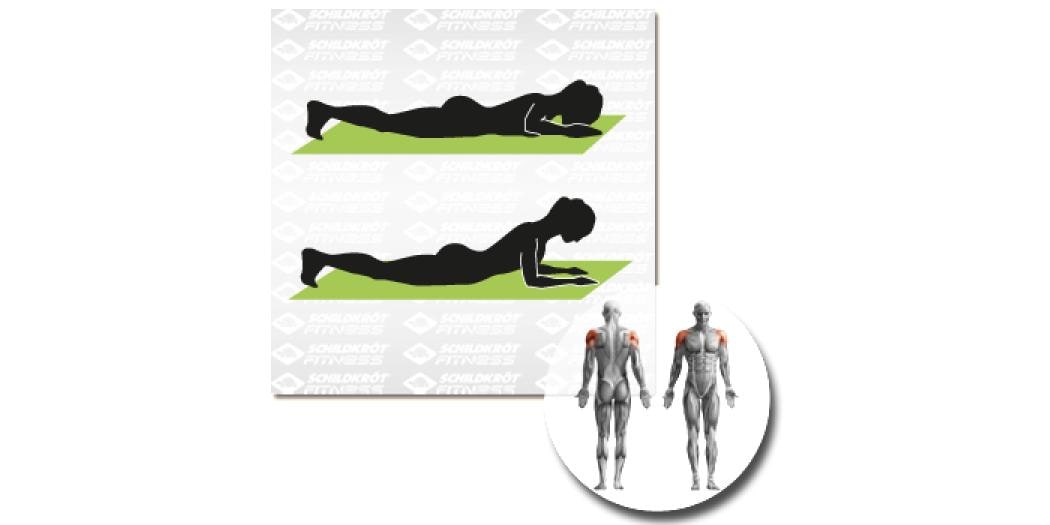 Schildkröt Fitness Fitnessmatte Grün