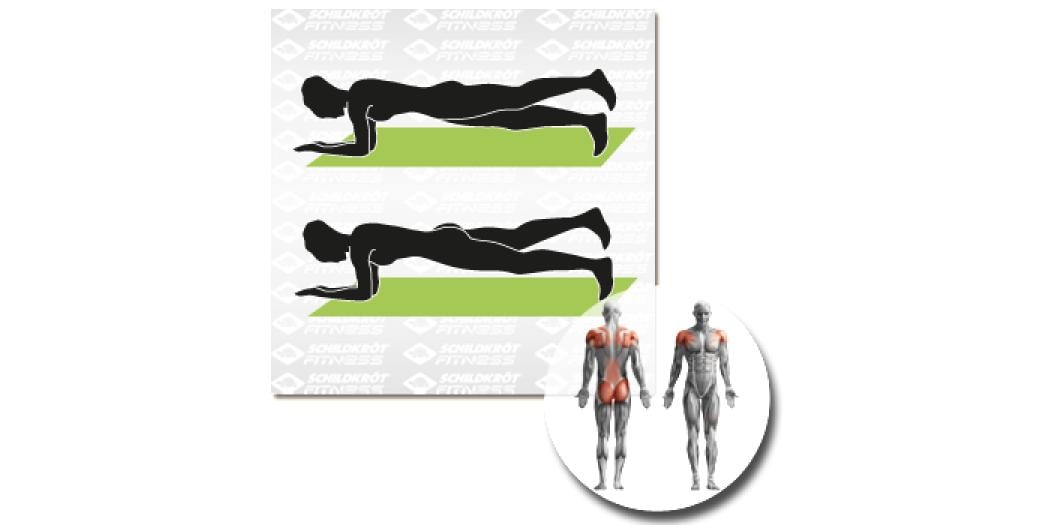 Schildkröt Fitness Fitnessmatte Grün
