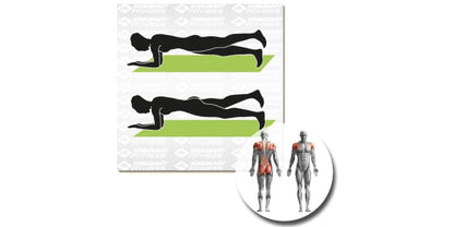 Schildkröt Fitness Fitnessmatte Grün